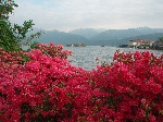 Lago Magiore